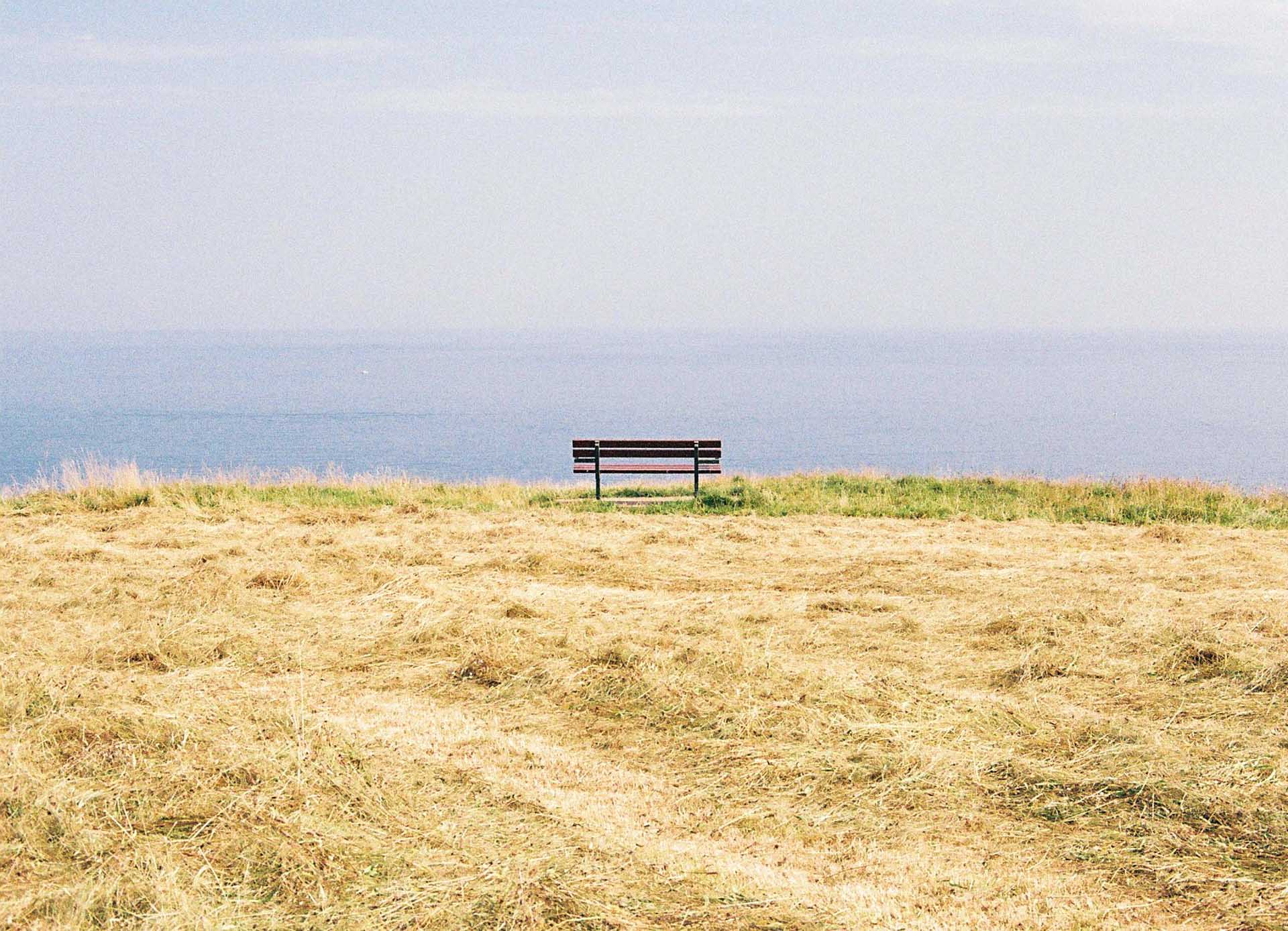 A bench in a field of golden wheat and green grass overlooking the sea in Fowey, Cornwall taken on Kodak Gold 200 film stock.