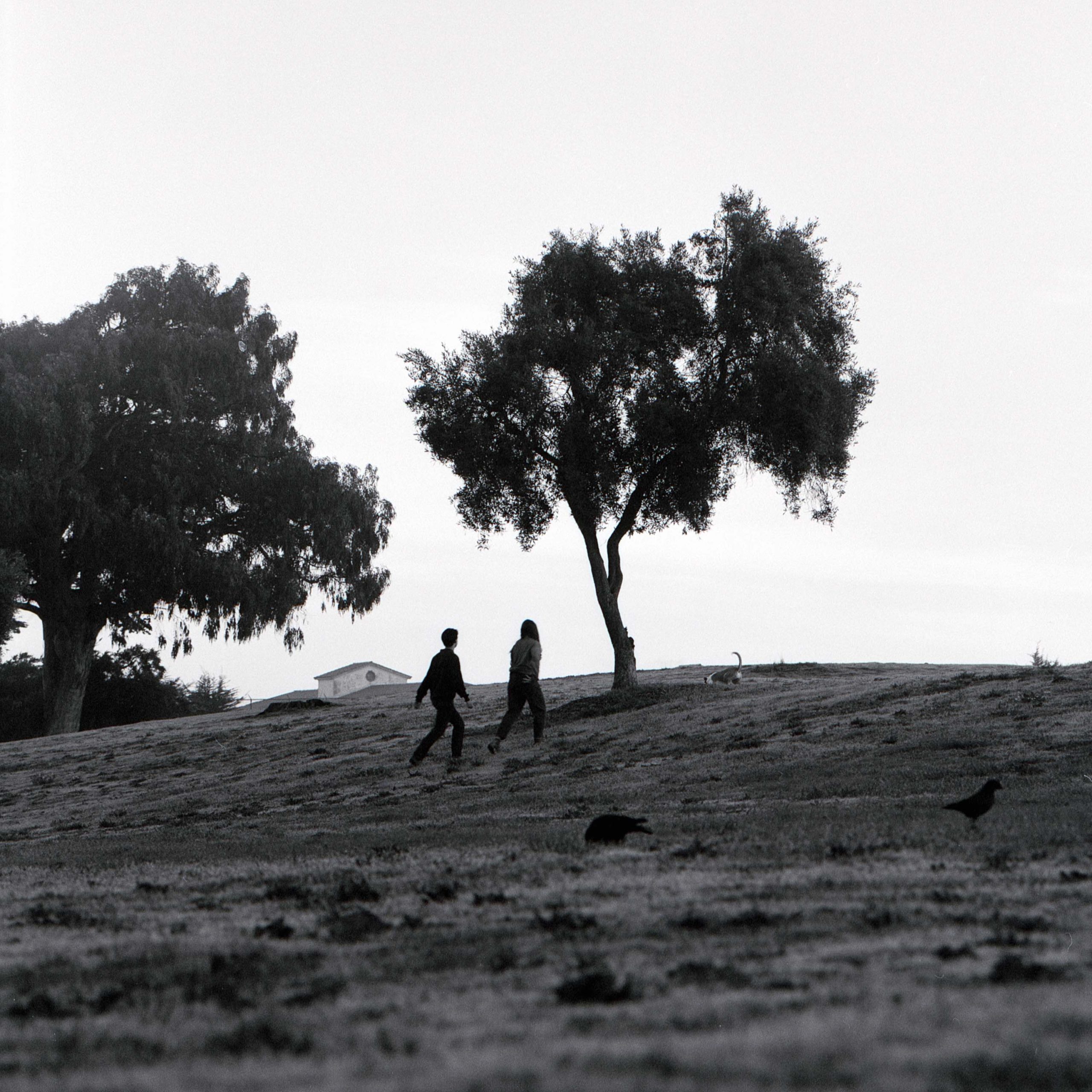 A couple walk up a hill near trees in San Francisco