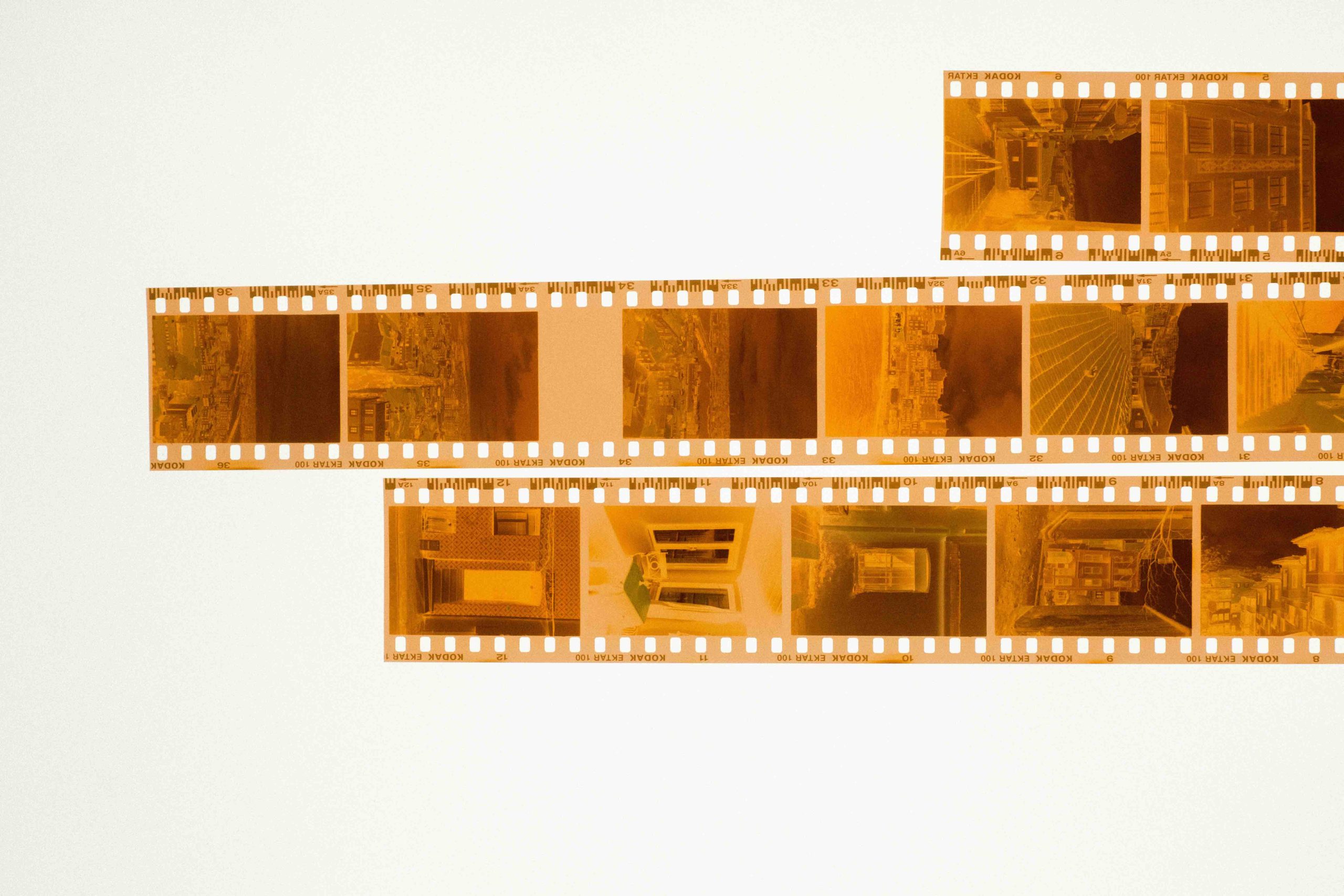 Film negatives on a backlight