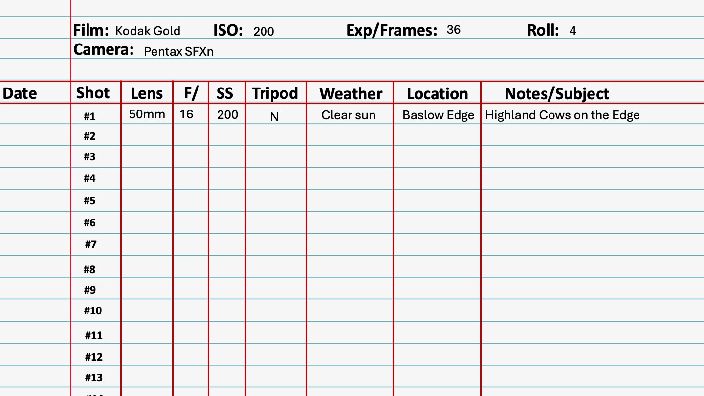 A template for a film photo metadata log book showing categories and recommended format with example data inputted.