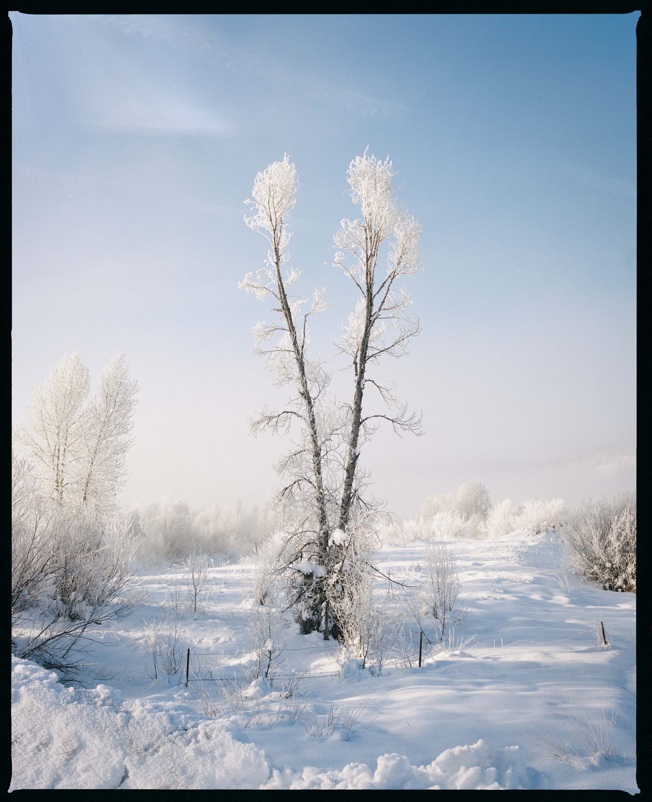 Photograph by Parker Loew