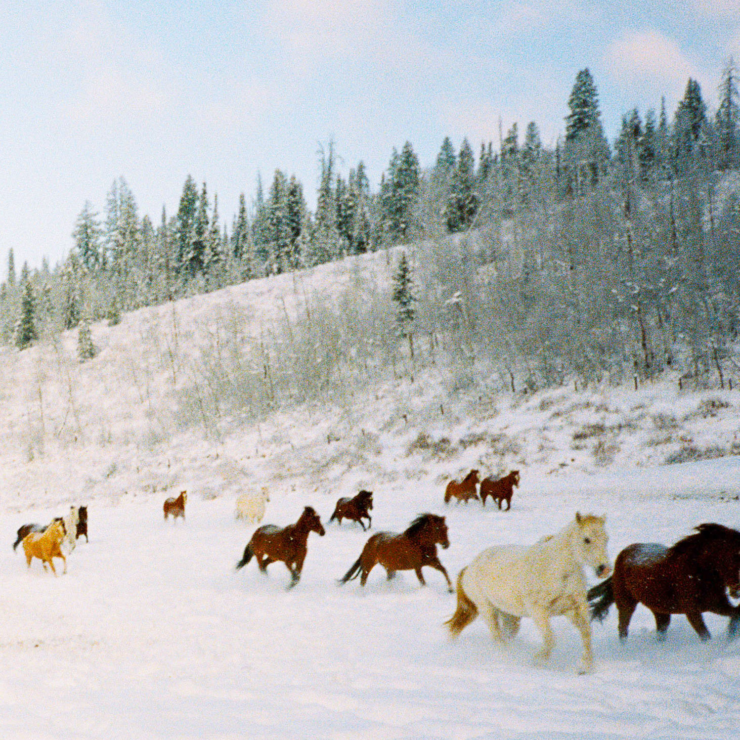 Photograph by Parker Loew