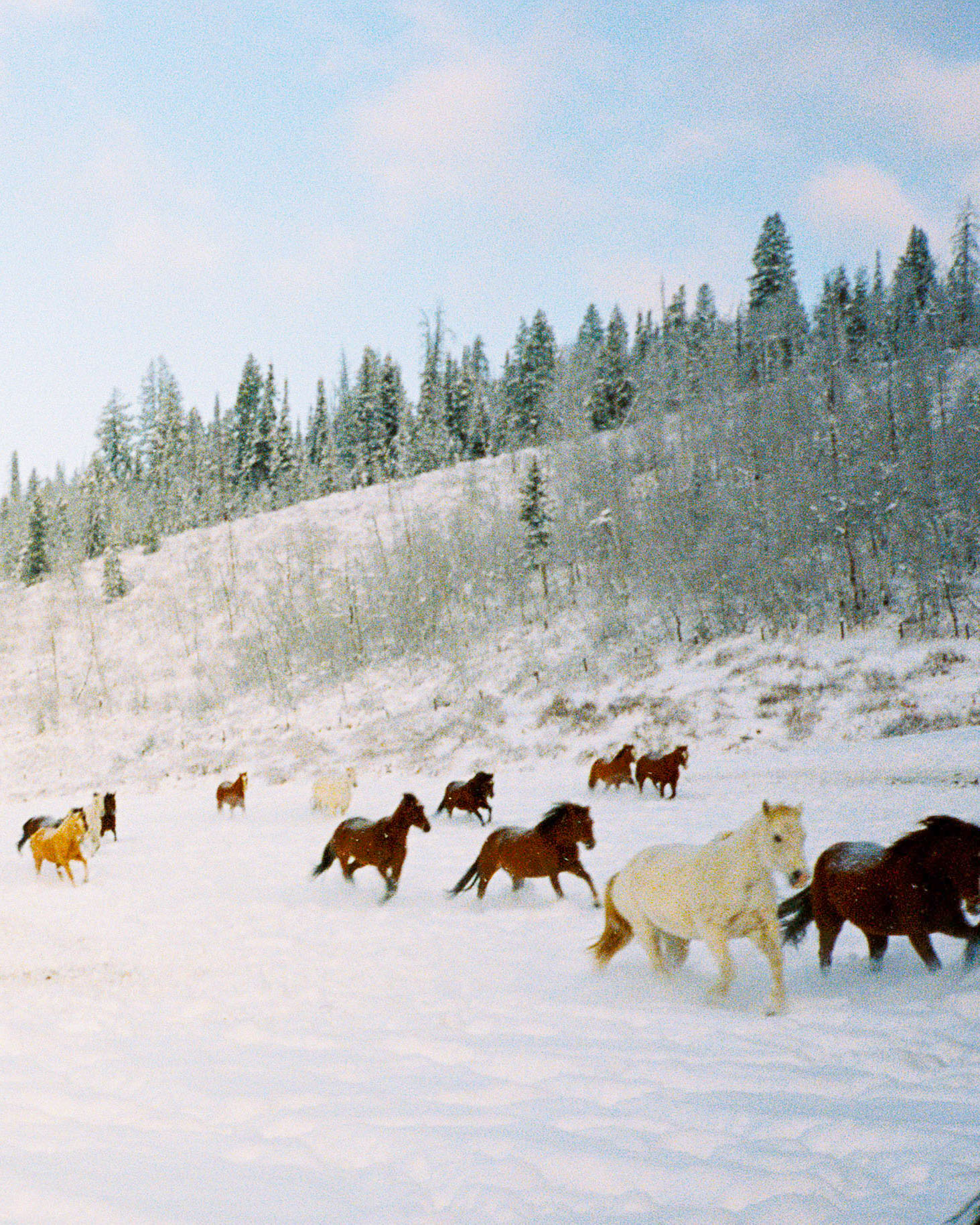 Photograph by Parker Loew